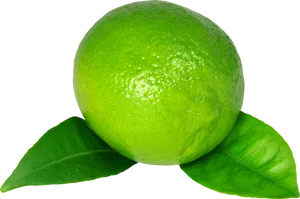 Fresh Limewith Green Leaf PNG Image