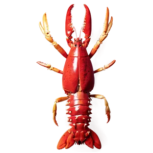 Fresh Lobster PNG Irc99 PNG