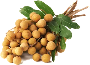 Fresh Longan Bunch PNG Image