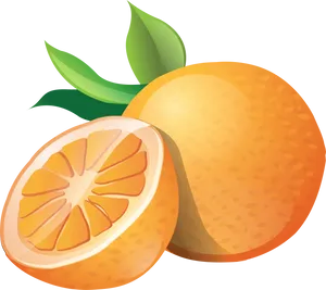 Fresh Mandarin Orange Illustration PNG Image