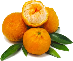 Fresh Mandarin Orangeswith Leaves PNG Image