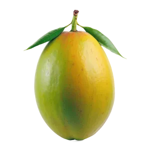 Fresh Mango Png 05232024 PNG Image