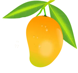 Fresh Mango With Dew Drops Illustration PNG Image