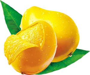 Fresh Mangoes With Dew Drops PNG Image