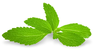 Fresh Mint Leaves Isolated PNG Image