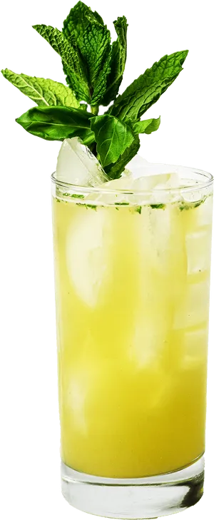 Fresh Mojito Cocktail Glass PNG Image