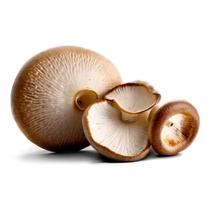 Fresh Mushrooms PNG Ine78 PNG