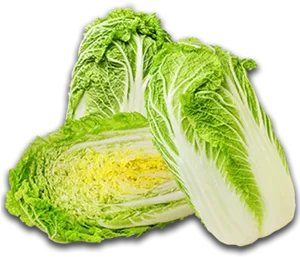 Fresh Napa Cabbage Halves PNG Image