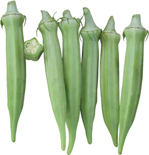 Fresh Okra Pods Transparent Background PNG Image