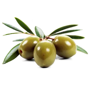 Fresh Olive Fruit Png Hpl46 PNG Image