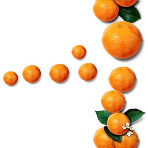 Fresh Oranges Png Syg96 PNG Image