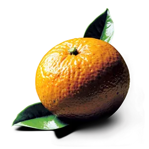 Fresh Oranges Png Xgt87 PNG Image