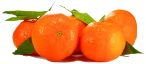 Fresh Orangeswith Leaves PNG Image