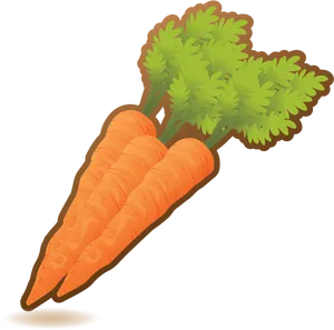 Fresh Organic Carrots Illustration PNG Image