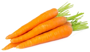 Fresh Organic Carrots Isolated PNG Image