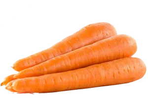 Fresh Organic Carrots Isolated PNG Image