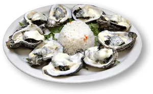 Fresh Oysters With Rice Plate PNG Image