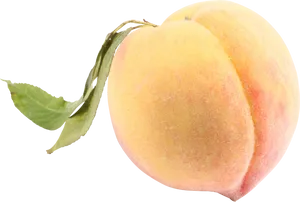 Fresh Peach Black Background PNG Image