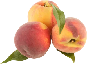 Fresh Peaches Black Background PNG Image