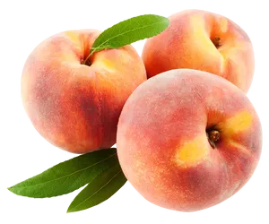 Fresh Peaches Isolated Background PNG Image