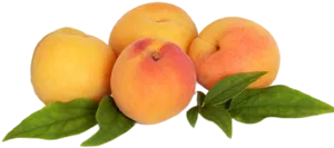 Fresh Peaches With Leaves PNG Image