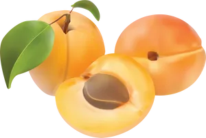 Fresh Peachesand Half Slice Illustration PNG Image