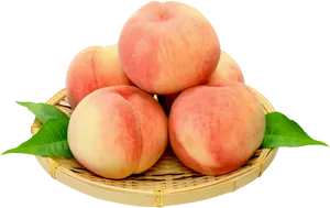 Fresh Peachesin Basketon Black Background PNG Image