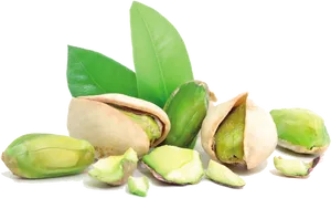 Fresh Pistachioswith Leaves PNG Image