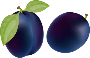 Fresh Plums Illustration PNG Image