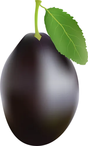 Fresh Plumwith Leaf PNG Image