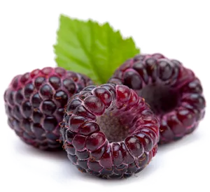 Fresh Raspberrieswith Leaf.png PNG Image