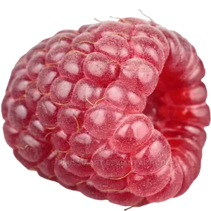 Fresh Raspberry Closeup.png PNG Image