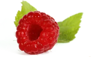 Fresh Raspberrywith Leaves.png PNG Image