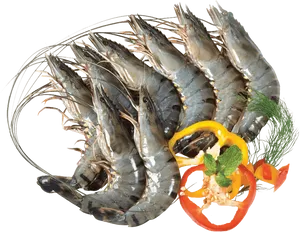 Fresh Raw Shrimp With Herbsand Spices PNG Image