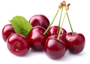 Fresh Red Cherries Transparent Background PNG Image