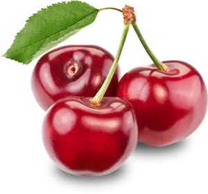 Fresh Red Cherrieswith Leaf PNG Image