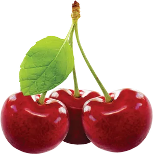 Fresh Red Cherrieswith Leaf PNG Image