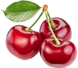 Fresh Red Cherrieswith Leaf PNG Image