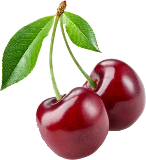 Fresh Red Cherrieswith Leaves PNG Image