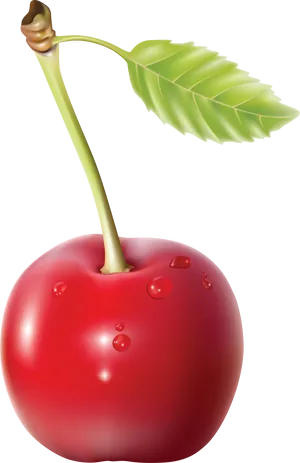 Fresh Red Cherrywith Dew Drops PNG Image