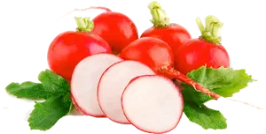 Fresh Red Radisheswith Slices.png PNG Image