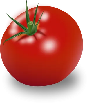 Fresh Red Tomato Illustration PNG Image