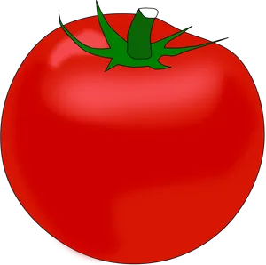 Fresh Red Tomato Illustration PNG Image