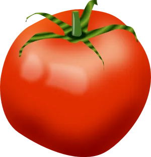 Fresh Red Tomato Illustration PNG Image