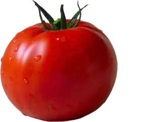 Fresh Red Tomatowith Water Droplets PNG Image