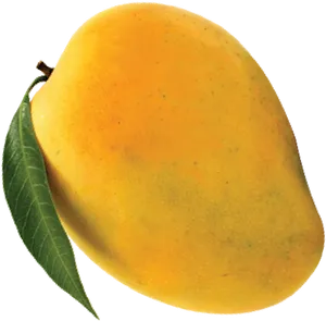 Fresh Ripe Mango With Leaf PNG Image