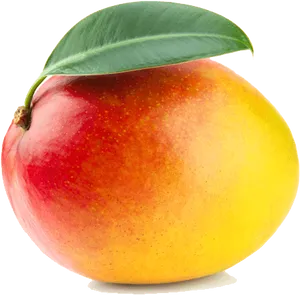 Fresh Ripe Mango With Leaf PNG Image