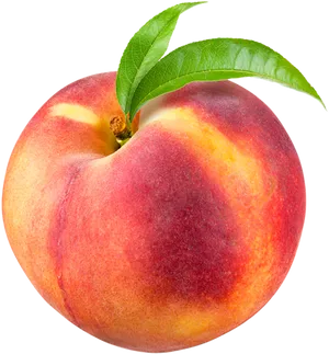 Fresh Ripe Peach Black Background PNG Image