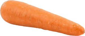 Fresh Single Carrot Isolated.png PNG Image