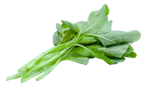 Fresh Spinach Leaves Isolated PNG Image